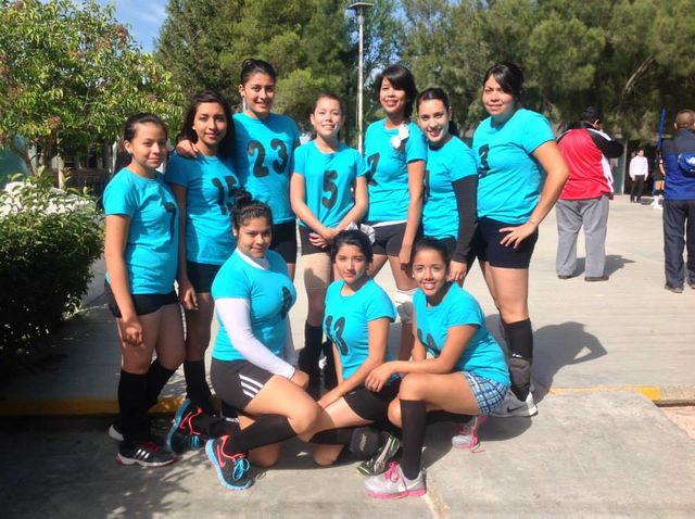 Voleibol
